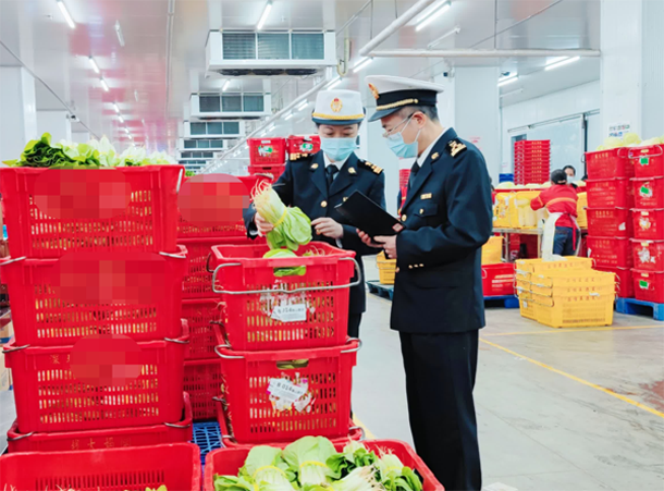供港蔬菜出口运输 中港冷藏车直达香港