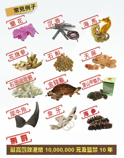 旅客进出香港 这些物品不可带出入境