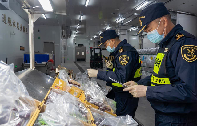 智利车厘子经香港转陆运通关进口到珠海