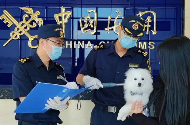 微信图片_2026-10-19_161930_925.jpg